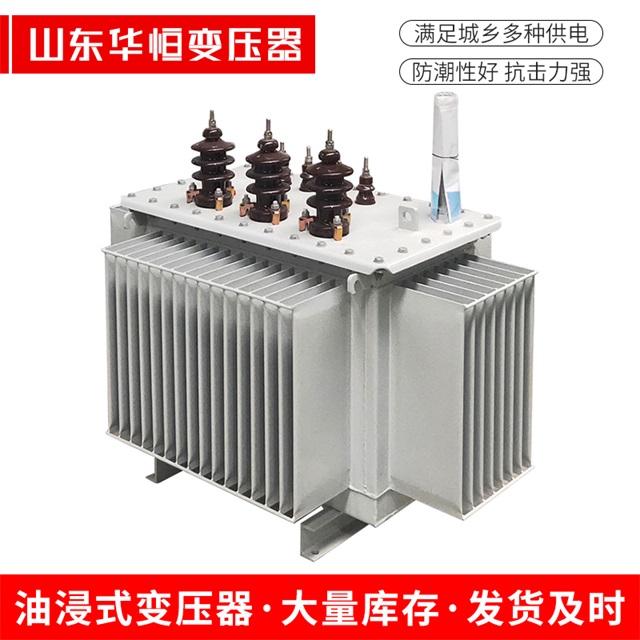 S13-10000/35东台东台东台油浸式变压器厂家